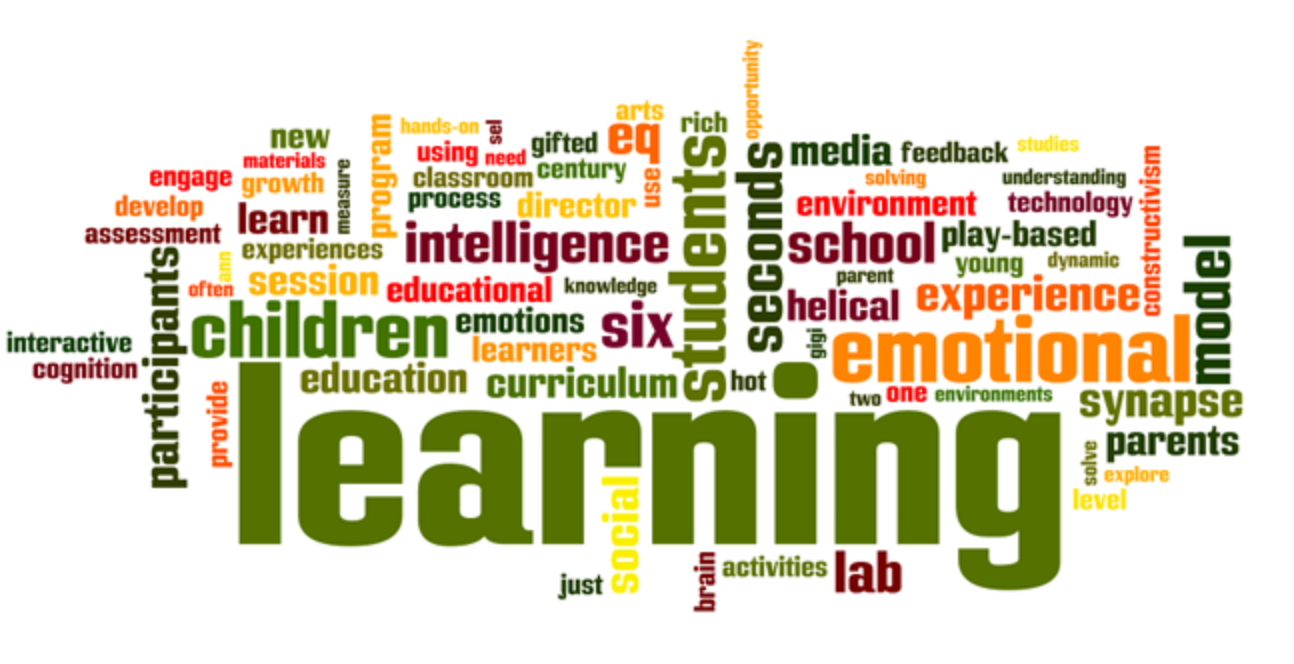 Analysis of Educational and Social Dynamics in Learner Behavior