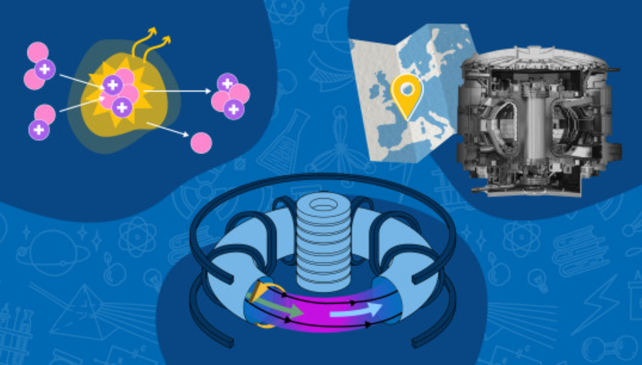 Exploration of Physical Processes and Mechanisms in Nuclear Environments